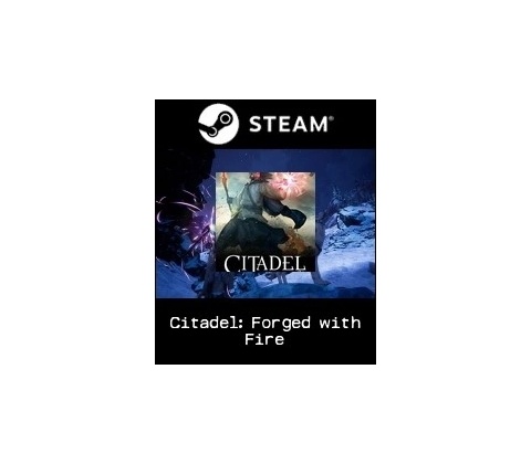 Citadel: Forged With Fire