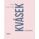 Kvásek