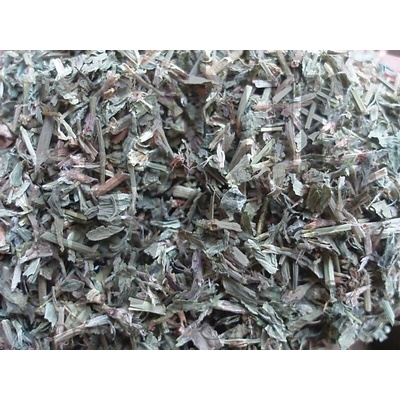 Bylinná lékárna Truskavec nať Polygonii avic.herba 100 g