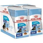 Royal Canin Maxi Puppy kapsička pre veľké šteňatá 20 x 140 g