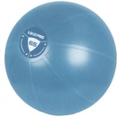 LivePro studio fit exercise 55 cm