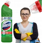 DOMESTOS Extended Power Pine Fresh dezinfekčný wc čistič 750 ml
