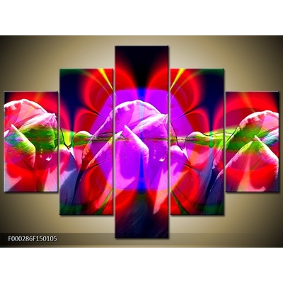 Moderní obraz F000286F150105 (Pětidílný 150x105 cm)