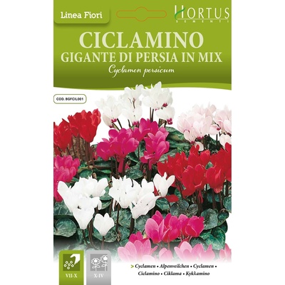 Hortus Циклама Персийска Гигант Микс Cyclamen persicum