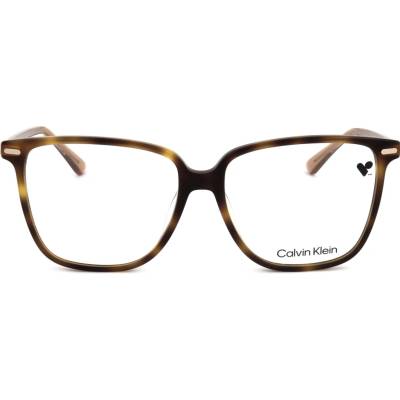 Calvin Klein CK22543 240