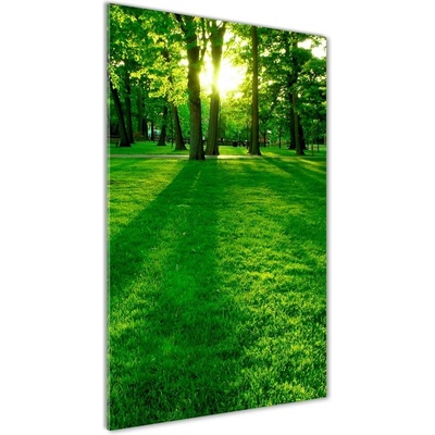 Vertikálny foto obraz sklenený Slnko v parku 50x100 cm