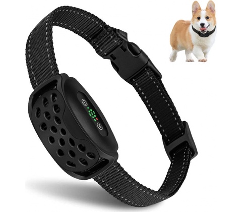 Reedog V2