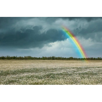 DIMEX ART s. r. o Флизелинов фототапет дъга над поле с лайка 375 x 250 см