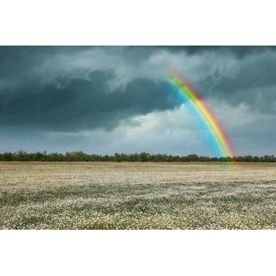 DIMEX ART Флизелинов фототапет дъга над поле с лайка 375 x 250 см