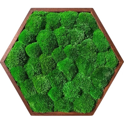 Hexagon Machový Obraz s Guľatým machem