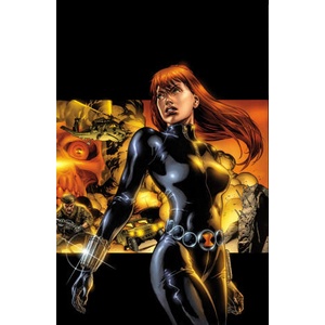 BLACK WIDOW MODERN ERA EPIC COLL ITSY BI | GRAYSON DEVIN (2025)