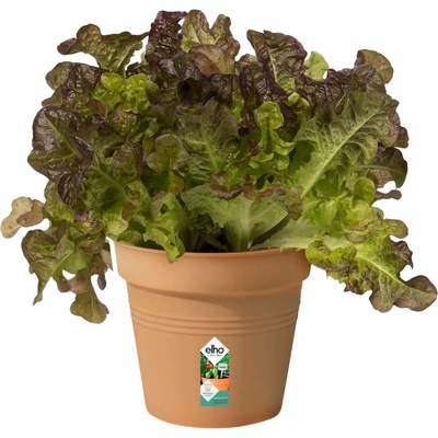 Elho květináč Green Basics mild terra 17 cm
