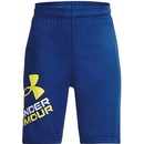Under Armour Prototype 2.0 logo shorts black