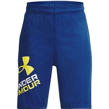 Under Armour Prototype 2.0 logo shorts black