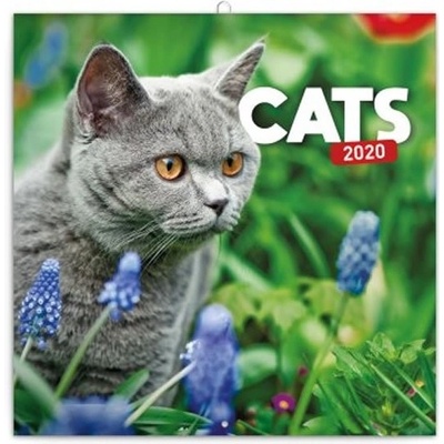 poznámkový Kočky 2020