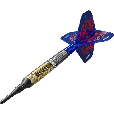 soft Target Raymond Van Barneveld G6 20g 95% wolfram