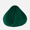 Dusy Color Injection přímá pigmentová barva alp Green zelená 115 ml
