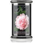 Kringle Candle Reserve Minted Peony ароматна свещ 623 гр