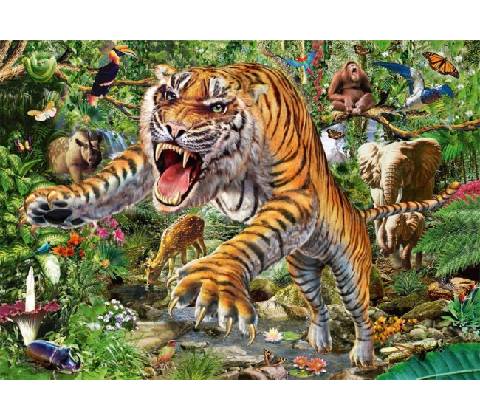 Schmidt Tiger attack 500 dielov