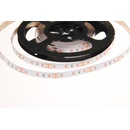 T-LED 078081