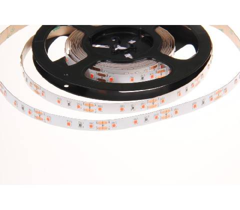 T-LED 078081