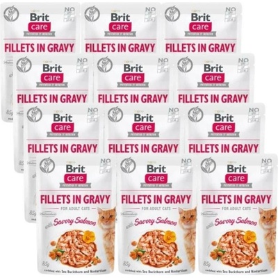 BRIT CARE Cat Sáčky Filety v omáčce s lahodným lososem 12x85 g