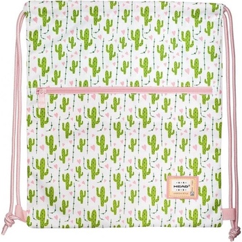 Astra 3 Head 357 Cactus