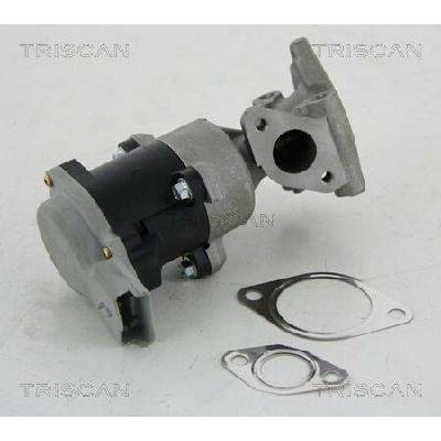 AGR-Ventil TRISCAN 8813 10008 (881310008)