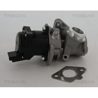 AGR-Ventil TRISCAN 8813 10010