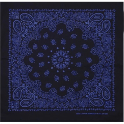 Bandana Stars & Stripes 2