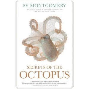 SECRETS OF THE OCTOPUS (2025)