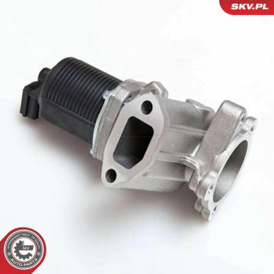 AGR - Ventil ESEN SKV 14SKV014