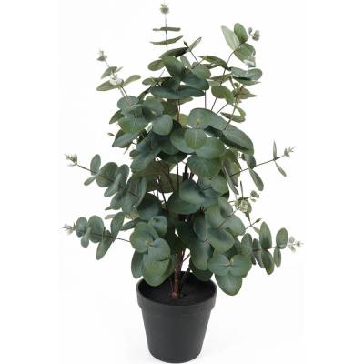 present time Umělý eukalyptus v květináči EDEN, 54 cm