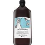 Davines Natural Tech Well-Being Shampoo подхранващ шампоан за гладкост и блясък на косата 1000 ml