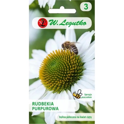 Echinacea purpurová Echinacea biela