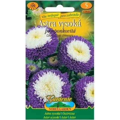 Nohel Garden Astra vysoká pomponkovitá, modro-biela