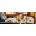 Dino - Puzzle Gump on the couch - 150 piese