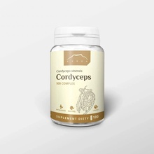 Kordyceps 500 mg x 100 kapsúl cordyceps sinensis