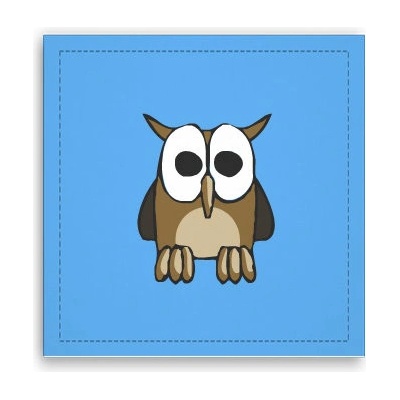Fotoobraz 40x40 cm Sova