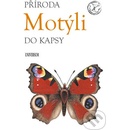 Motýli