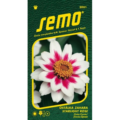 Semo Cínia - Zahara® Starlight Rose 15s