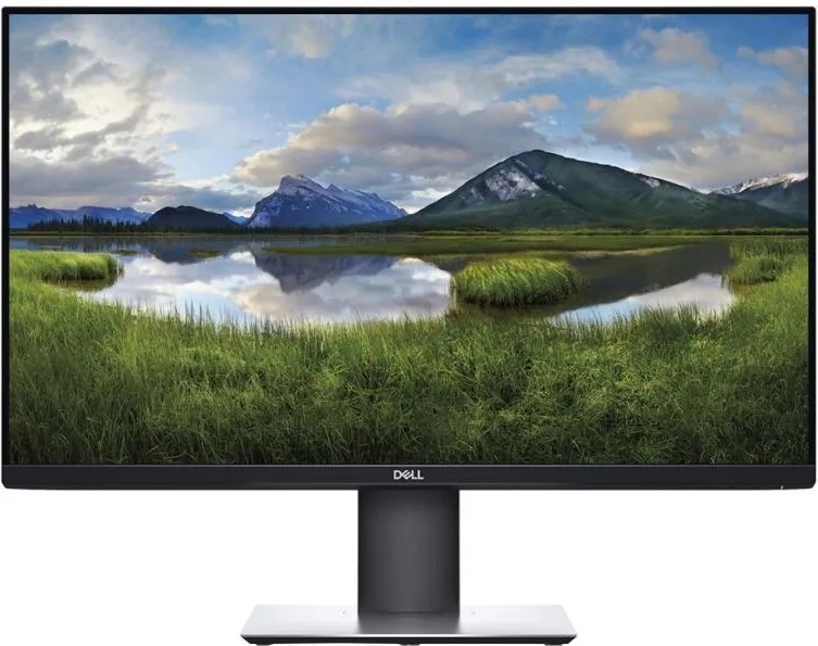 Dell P2419H