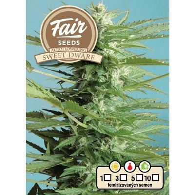 Fair Seeds AUTO Sweet Dwarf semena neobsahují THC 10 ks