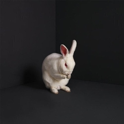 Brume - Rabbits (LP) (0850797007764)