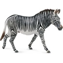 Collecta Zebra Grevyho