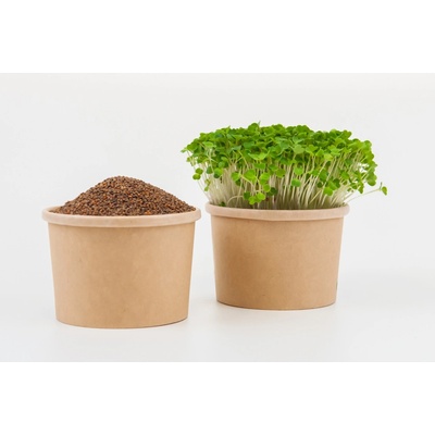 Tiny Greens Rukola BIO semínka na klíčení a 200 g