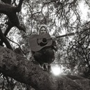Hello, Hi - Ty Segall CD