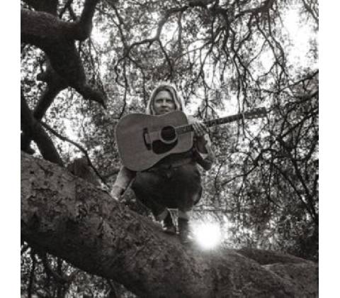 Hello, Hi - Ty Segall CD