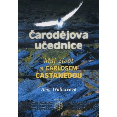 Čarodějova učednice - Amy Wallaceová