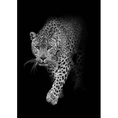 (B) 3D pohľadnica Leopard